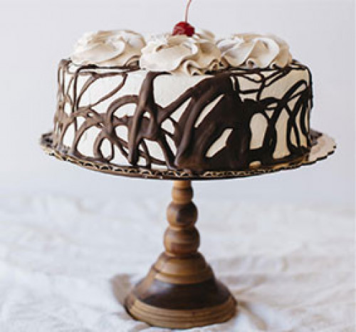 Tiramisu Cake